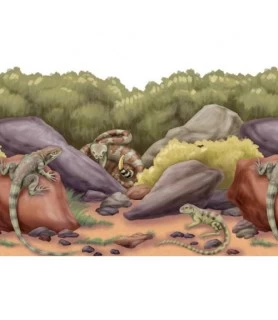 Fiesta Desert Fauna Border Roll / Decoration (50ft)