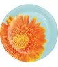 Floral 'Petal Pop' Large Paper Plates (8ct) Floral 'Petal Pop' Large Paper Plates (8ct)