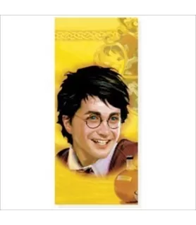 Harry Potter 'Goblet of Fire' Plastic Table Cover (1ct)