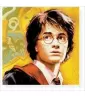 Harry Potter 'Goblet of Fire' Lunch Napkins (16ct) Harry Potter 'Goblet of Fire' Lunch Napkins (16ct)