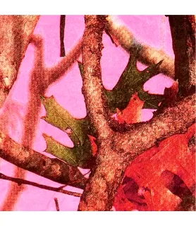 Hunting and Fishing 'Pink Camo' Small Napkins (16ct)