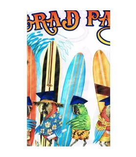 Graduation 'Grad Party' Plastic Table Cover (1ct)