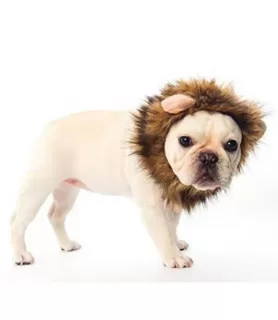 Halloween Lion Pet Costume Hat (M/L)