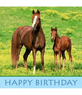 Wild Horses Happy Birthday Lunch Napkins (16ct)