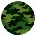 Military Camouflage