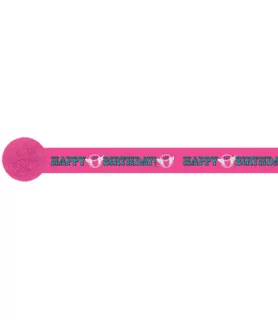 Princess Rocker Crepe Paper Streamer (30ft)