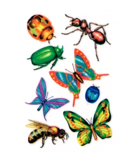 Bugs Insects Rub On Transfers / Favors (1 sheet)