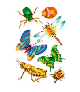 Bugs Insects Rub On Transfers / Favors (1 sheet)