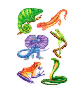 Reptiles Rub On Transfers / Favors (1 sheet)
