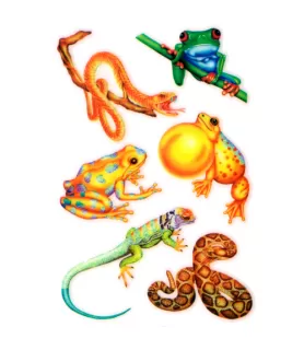 Reptiles Rub On Transfers / Favors (1 sheet)