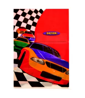 Racing 'Checkered Flag' Favor Bags (8ct)