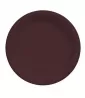 Chocolate Brown Small Plastic Plates (20ct) toc Chocolate Brown Small Plastic Plates (20ct) toc