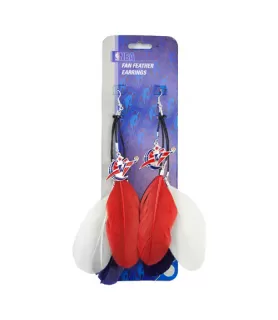 NBA Washington Wizards Fan Feather Earrings (1pr)