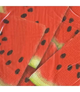 Watermelon 'Picnic' Small Napkins (16ct)