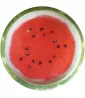Watermelon Check Small Paper Plates (8ct) Watermelon Check Small Paper Plates (8ct)