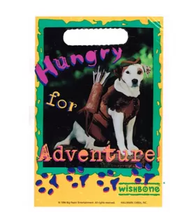 Wishbone Vintage 1996 Favor Bags (8ct)