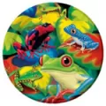 Fun Frogs
