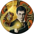 Order of the Phoenix