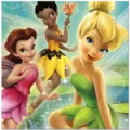 Tinker Bell & Fairies