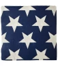 4th of July 'Patriotic Spirit' Small Napkins (24ct) 4th of July 'Patriotic Spirit' Small Napkins (24ct)