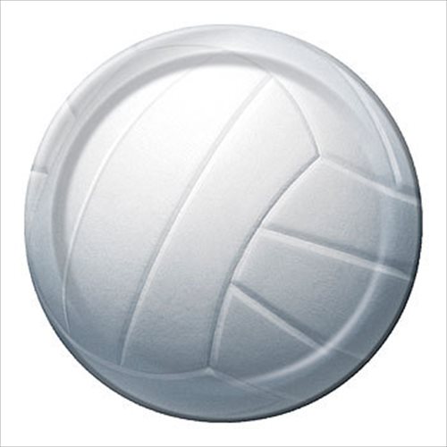 Volleyball Small Paper Plates (8ct)